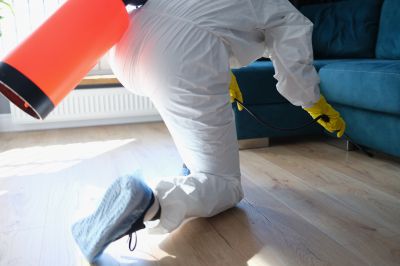 Commercial Fumigation in Tampa, FL