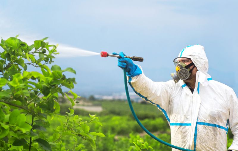 Spider Fumigation Service in Clarksville, TN