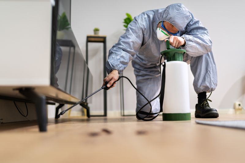 Spider Fumigation Service in Santa Fe, NM