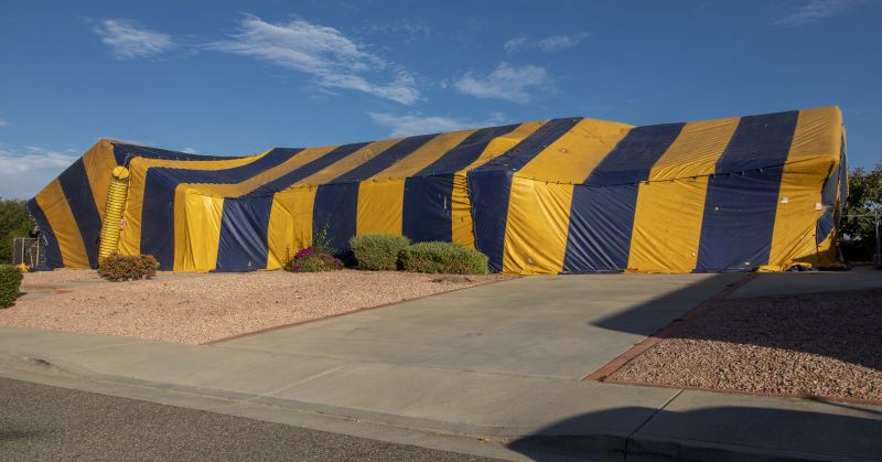Termite Tenting in Madison, WI