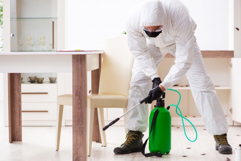 Exterminator Using Equipment