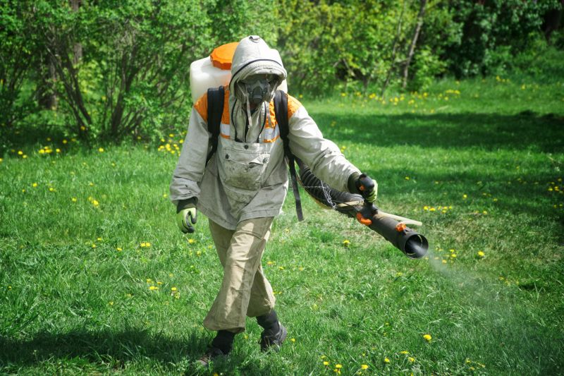 Yellow Jackets Extermination Services Overview
